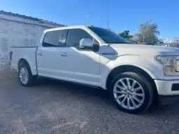 FORD LOBO 2019 completo