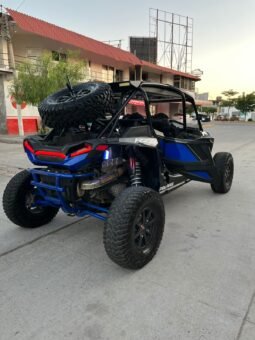 POLARIS RZR 2019 completo