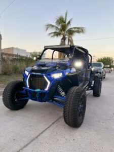 POLARIS RZR 2019
