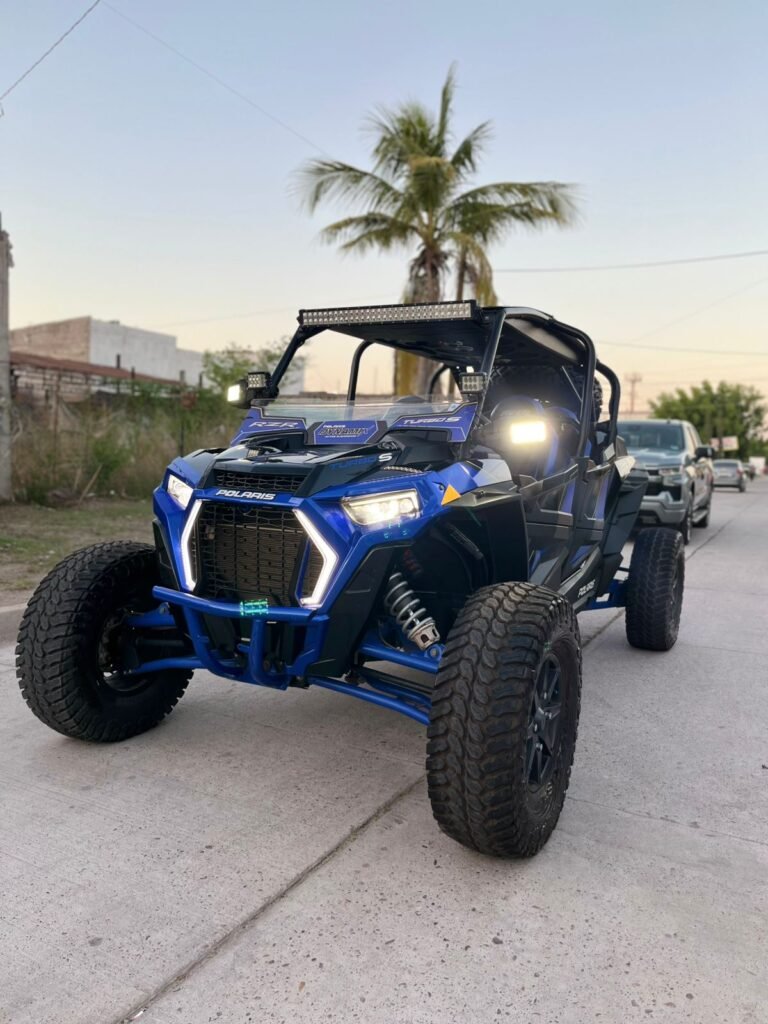 POLARIS RZR 2019