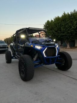 POLARIS RZR 2019 completo