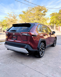 TOYOTA RAV 4 2020 completo