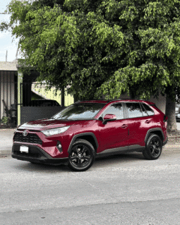 TOYOTA RAV 4 2019 completo