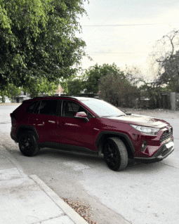 TOYOTA RAV 4 2019 completo
