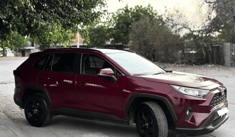 TOYOTA RAV 4 2019 completo
