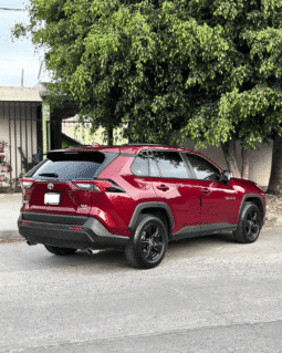 TOYOTA RAV 4 2019 completo