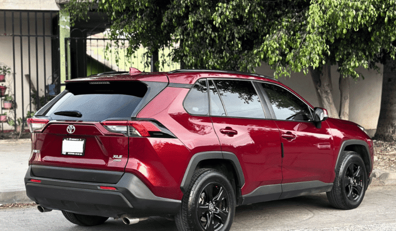 TOYOTA RAV 4 2019 completo