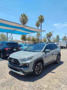 TOYOTA RAV4 2019