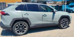 TOYOTA RAV4 2019 completo