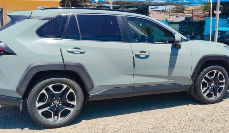 TOYOTA RAV4 2019 completo