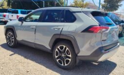 TOYOTA RAV4 2019 completo