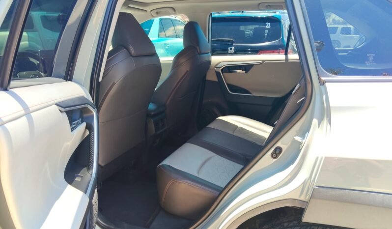 TOYOTA RAV4 2019 completo