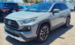 TOYOTA RAV4 2019 completo
