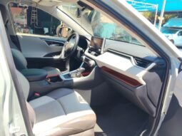 TOYOTA RAV4 2019 completo