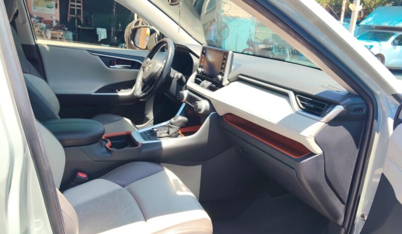 TOYOTA RAV4 2019 completo