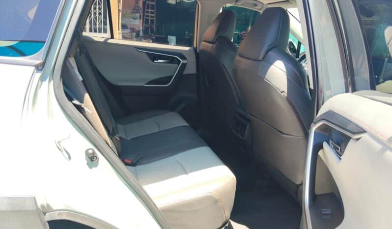 TOYOTA RAV4 2019 completo