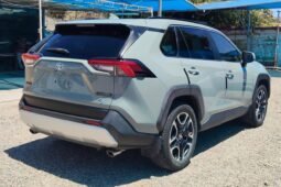 TOYOTA RAV4 2019 completo