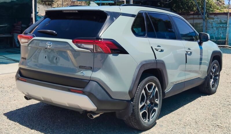 TOYOTA RAV4 2019 completo