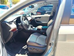 TOYOTA RAV4 2019 completo