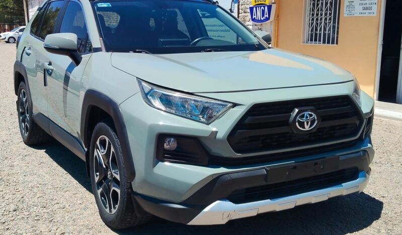 TOYOTA RAV4 2019 completo