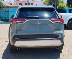 TOYOTA RAV4 2019 completo