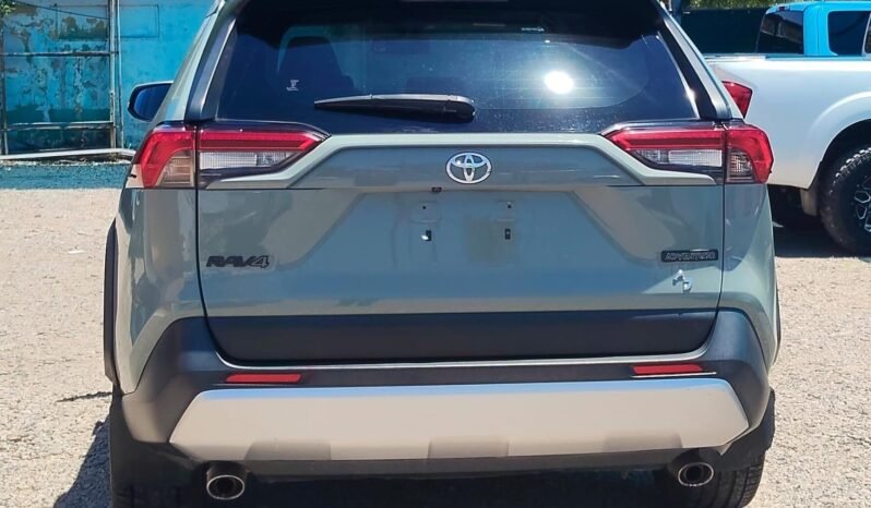 TOYOTA RAV4 2019 completo