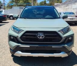 TOYOTA RAV4 2019 completo