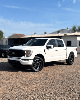 Ford Lobo F-150 XL 2021 completo