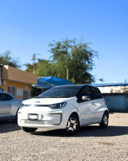 JAC E-10X 2025 completo