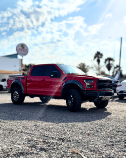 Ford F-150 Raptor 2018 completo