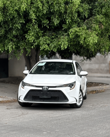 Toyota Rav4 Lxe 2019