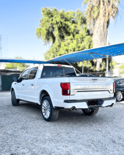 Ford Lobo Platinum Limited 2019 completo