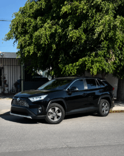 Toyota Rav4 Lxe 2019 completo