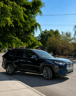 Toyota Rav4 Lxe 2019 completo