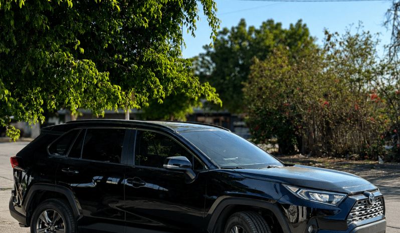 Toyota Rav4 Lxe 2019 completo