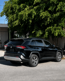 Toyota Rav4 Lxe 2019 completo