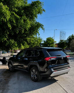 Toyota Rav4 Lxe 2019 completo
